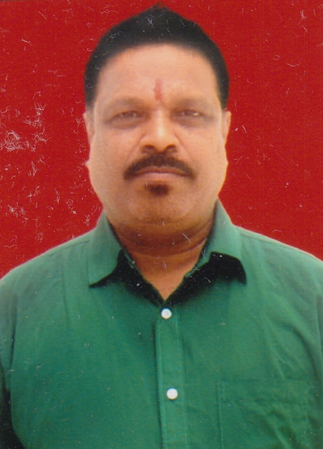 Mr. Padmakar G. Parab